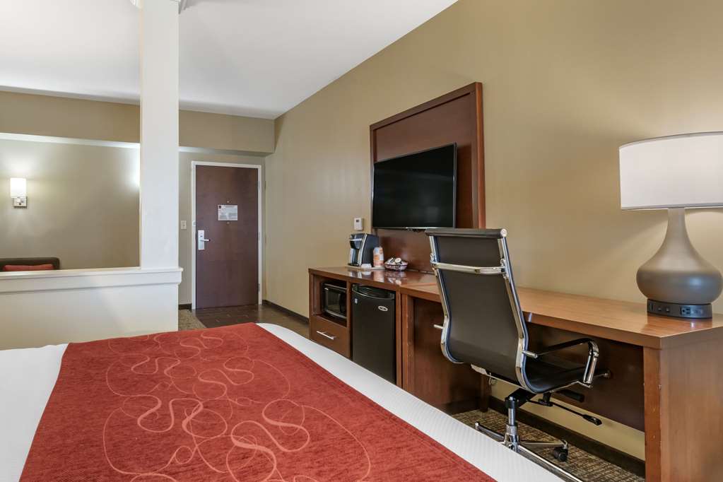 Comfort Suites Manheim Lancaster - photo 17