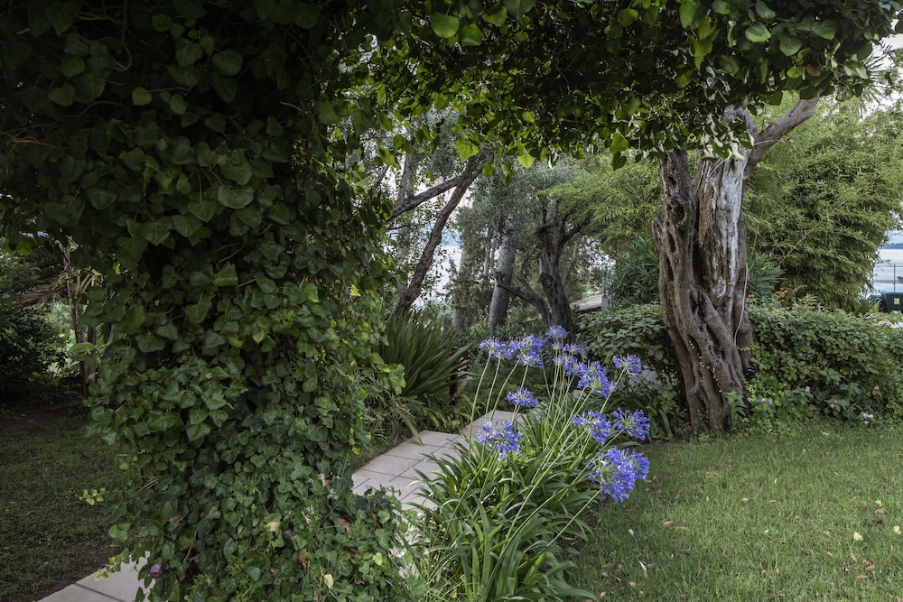 שטחי חוץ / גן