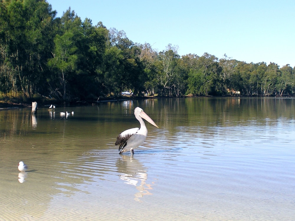 Paradise Bungalow Waterfront — 4-Star Luxury Hotel in Sanctuary Point, Australia