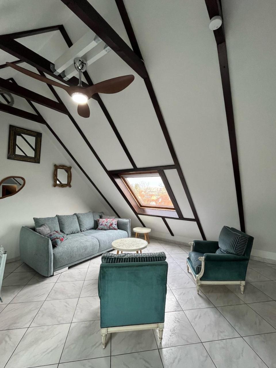 Logement Cosy Avec Mezzanine — hotel in Lingolsheim