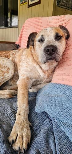 Sunnys Piece Of Paradise in Agnes Water, Australia