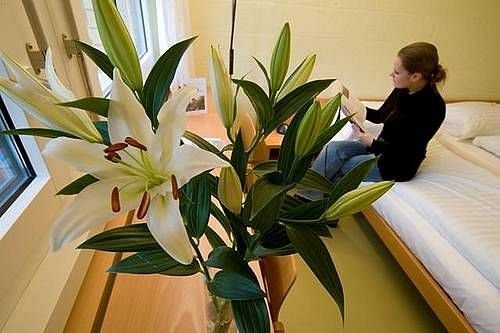 Seminarhotel Romerohaus in Luzern, Switzerland