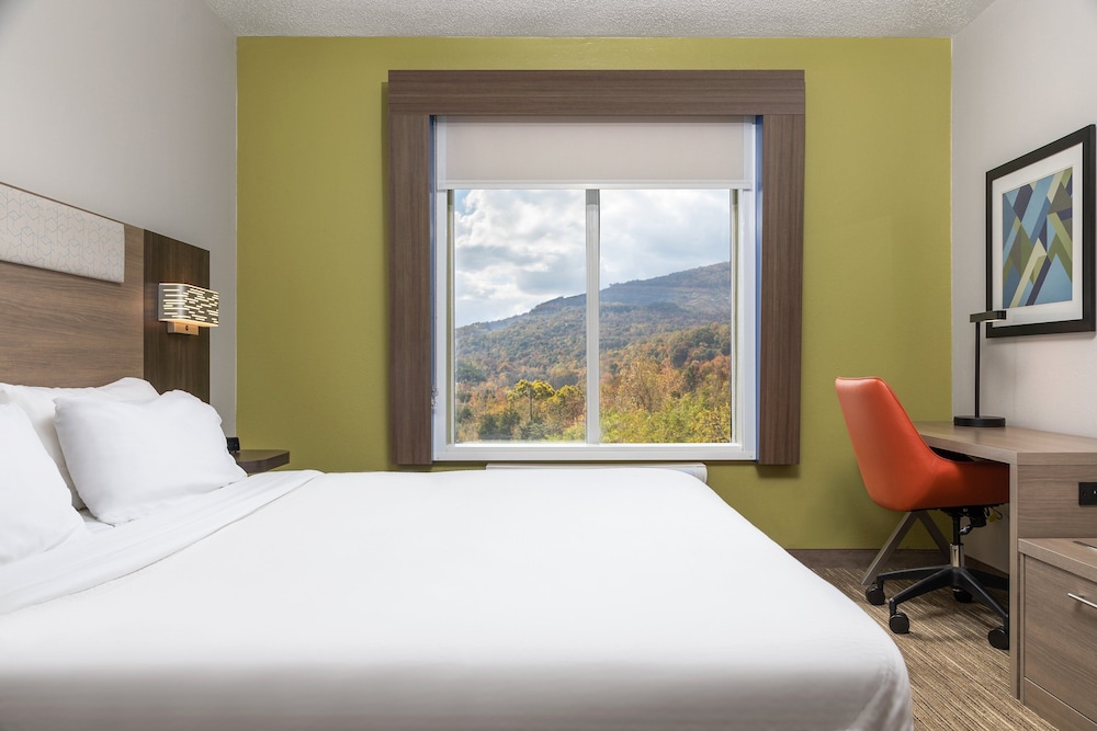 Holiday Inn Express Hotel & Suites Chattanooga Lookout Mtn by IHG - photo 15