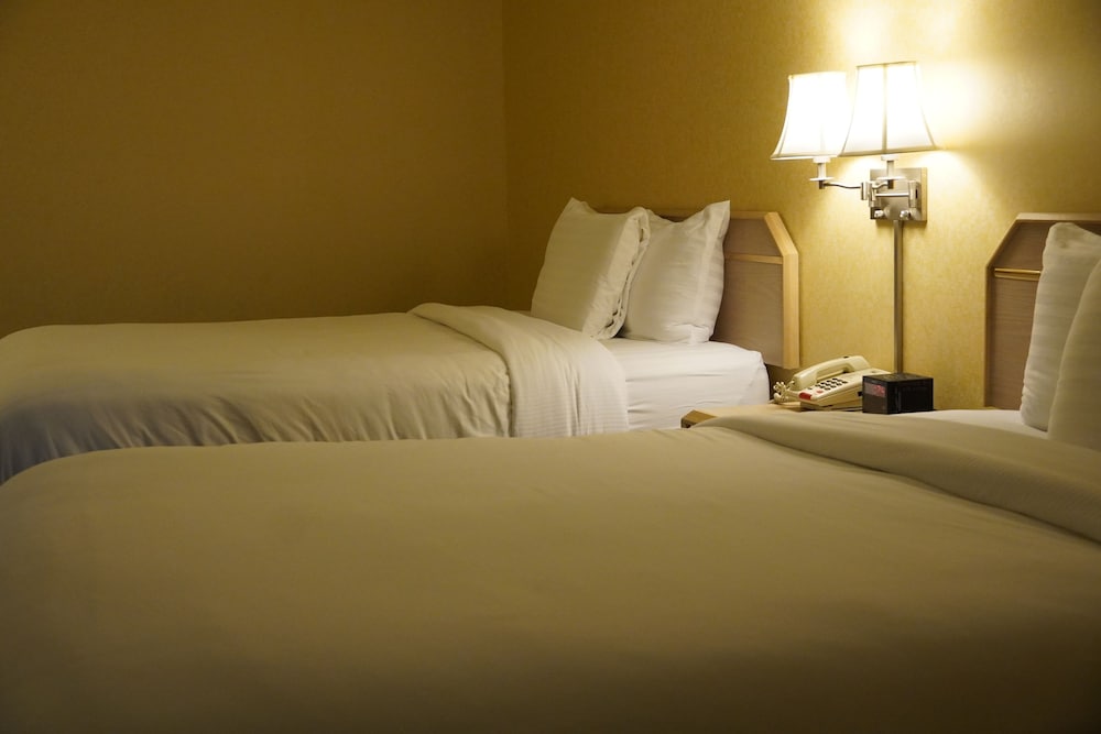 Timberland Inn & Suites - photo 51