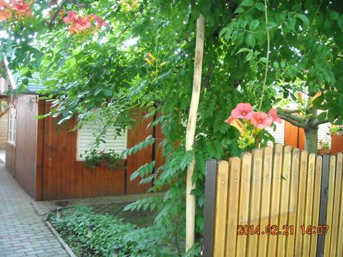 Demeter Apartman — Hajduszoboszlo — photo 4