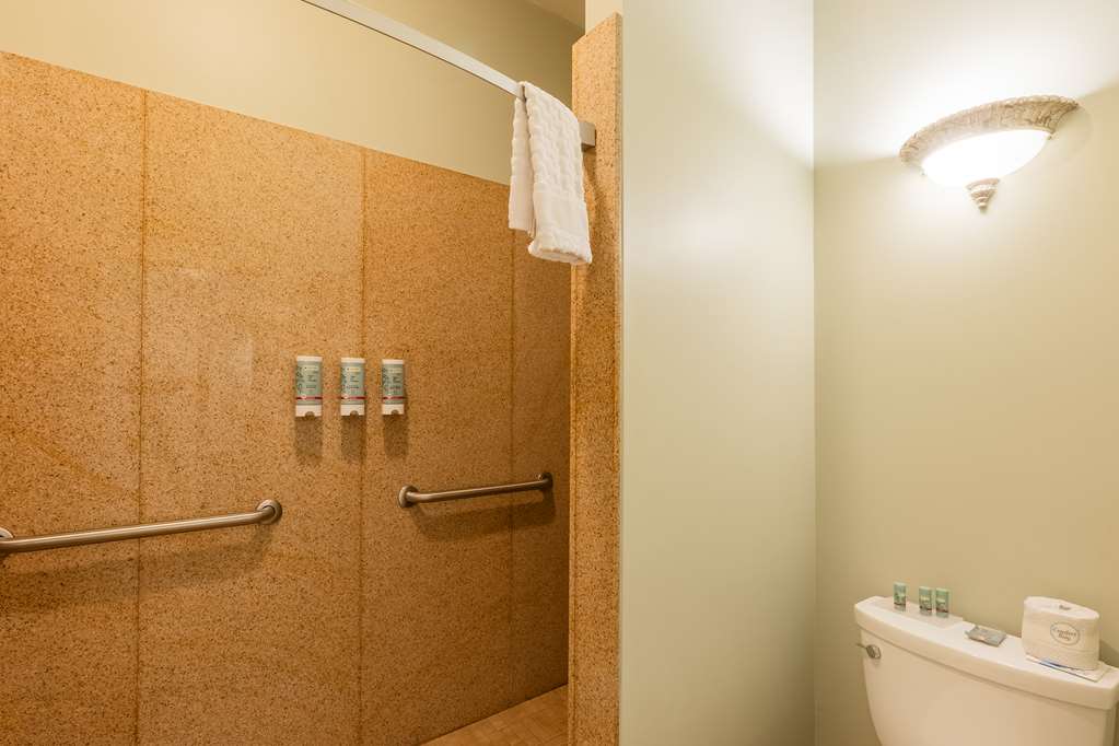 Best Western White House Inn - photo 65