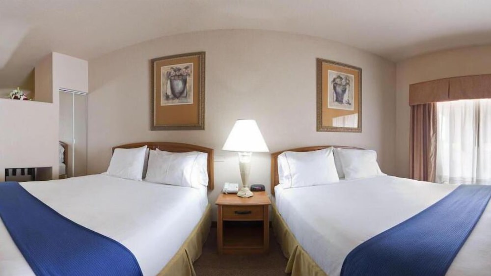 Holiday Inn Express Hotel & Suites Mission McAllen Area by IHG - photo 5