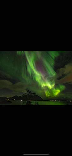 Domek Iwony in Molde, Norway