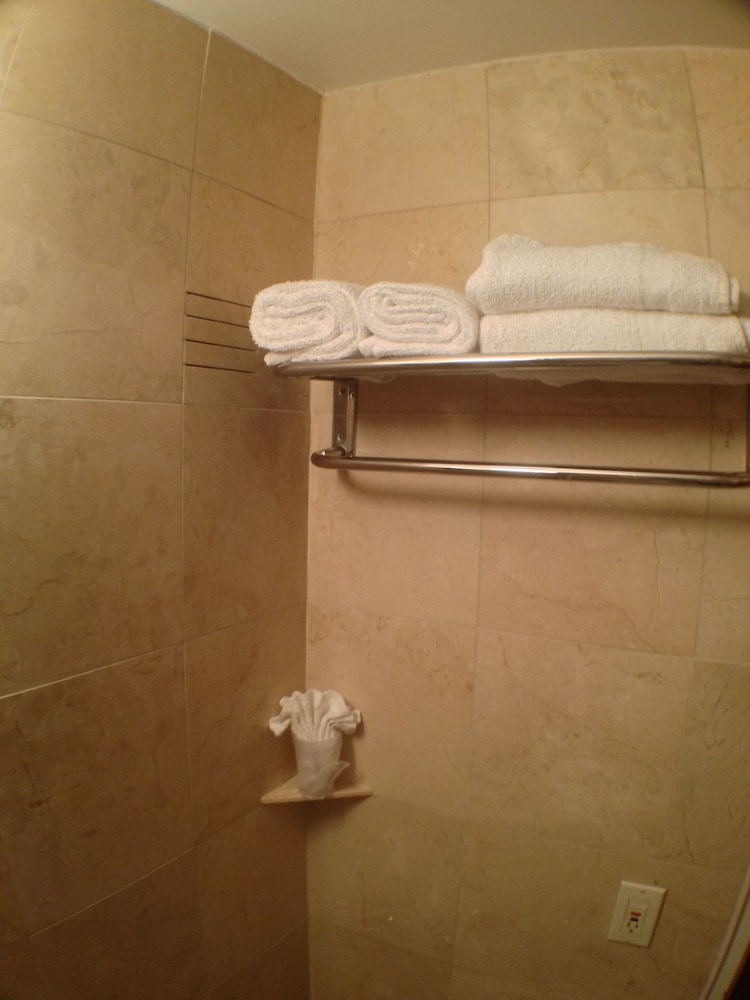 Parisian Hotel - photo 33