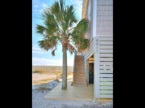 Sea Yawl - photo 2