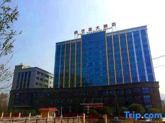 Gezi Hua Grand Hotel in Yucheng, People's Republic of China