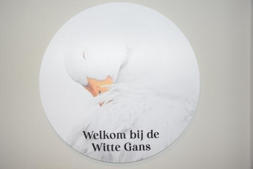 De Witte Gans — Ootmarsum — photo 4