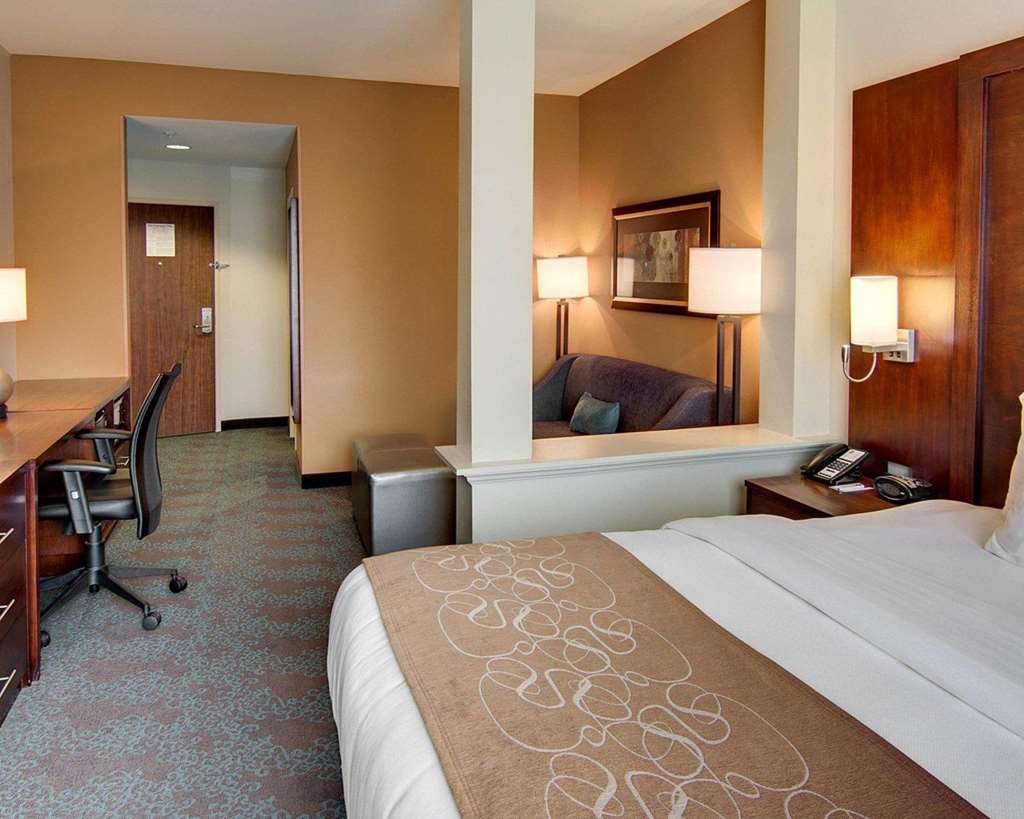 Comfort Suites Texarkana Arkansas - photo 10