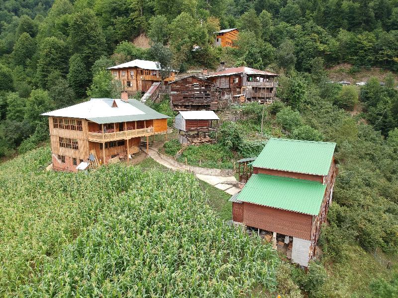 Dedaena Pansiyon - carbon neutral hotel in Borcka
