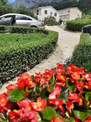 Antonbille in Gradac, Croatia