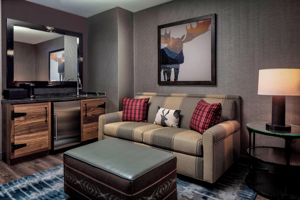 Gaylord Rockies Resort & Convention Center - photo 31