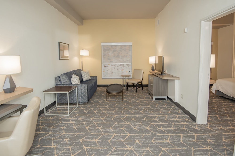 Holiday Inn & Suites Oakland Airport by IHG - photo 40