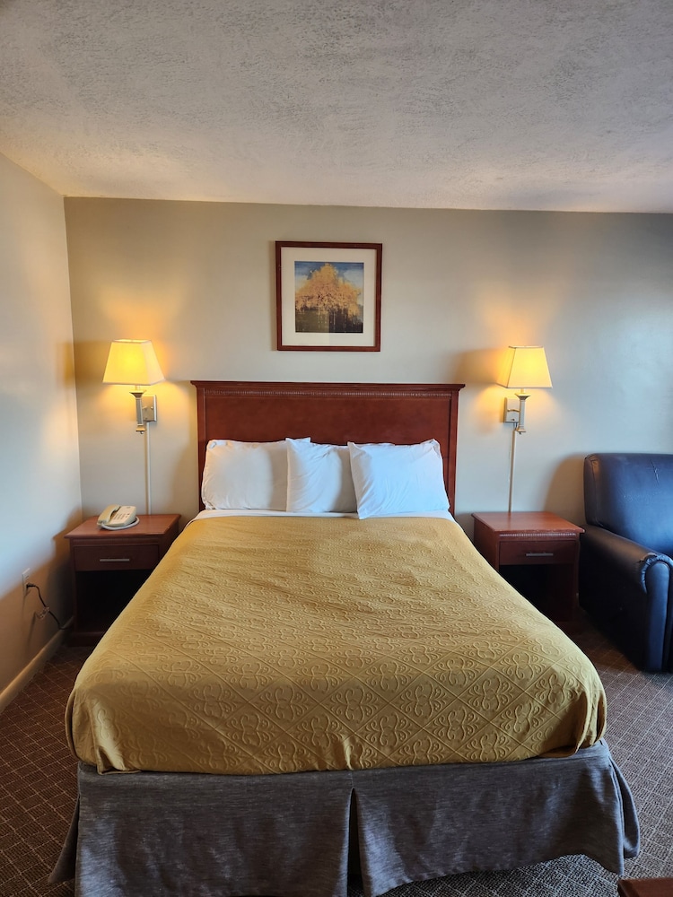 Royal Motel - photo 14