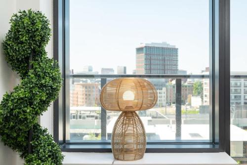 Luxury Apartment w King Bed Shared Pool & Rooftop — 4-Star Luxury Hotel in Cambridge, United States