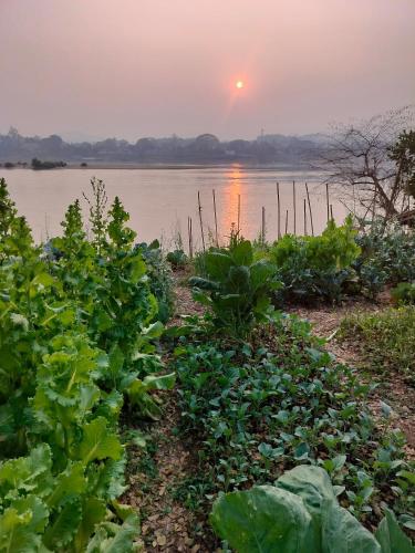 Somewhere over the river — Ban Houayxay — photo 2