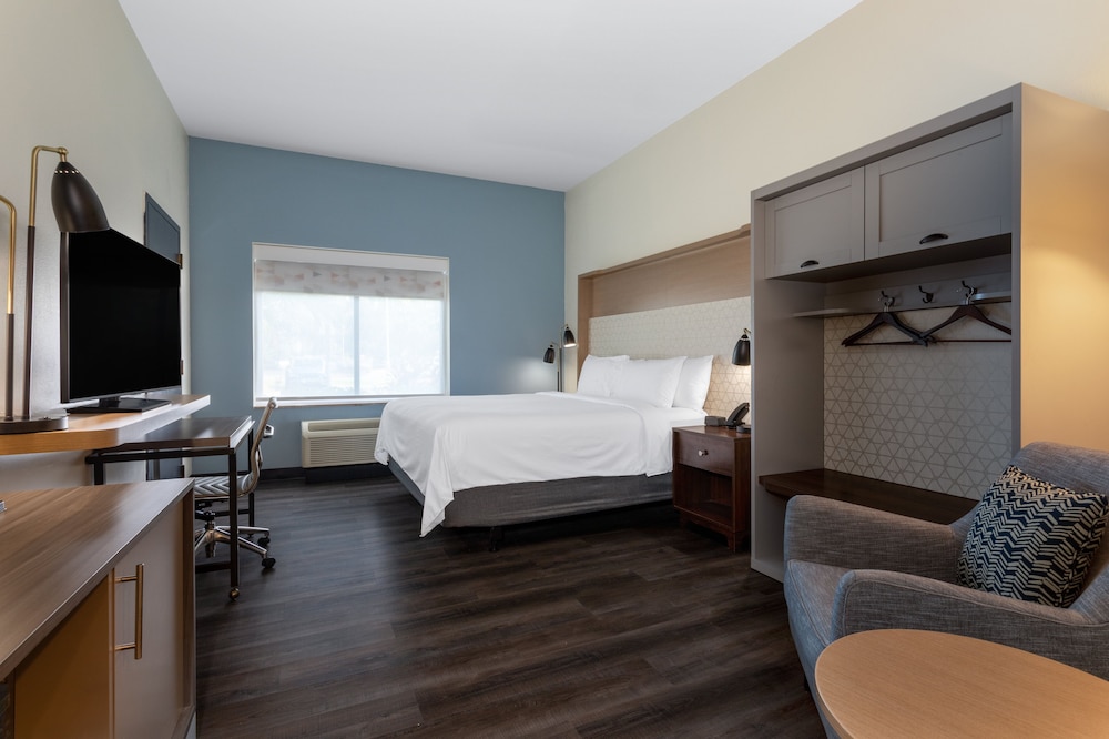 Holiday Inn Tampa North - photo 14