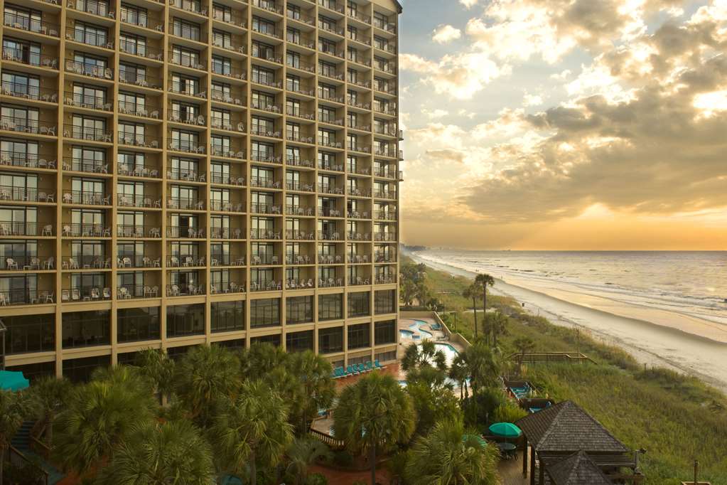 Beach Cove Resort - photo 26