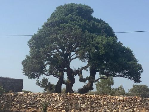 Skinos - carbon neutral hotel in Unknown City
