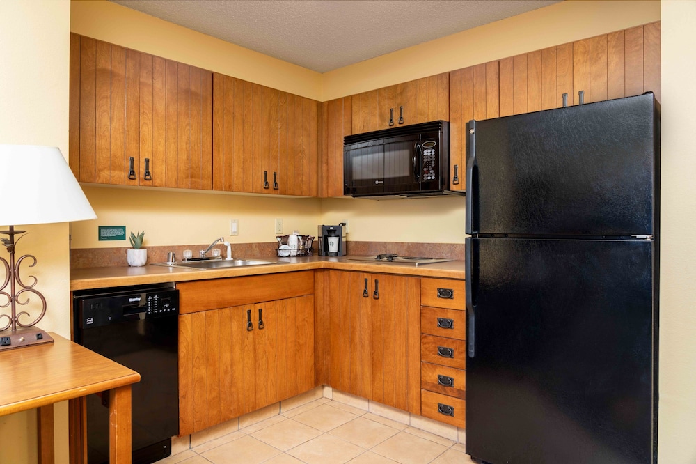 MCM Elegante Lodge & Suites Ruidoso - photo 11