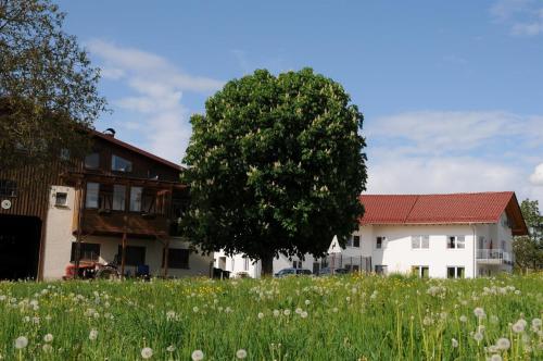 Ferienhof Hopfgärtle Müller — 4-Star Luxury Hotel in Bodnegg, Germany
