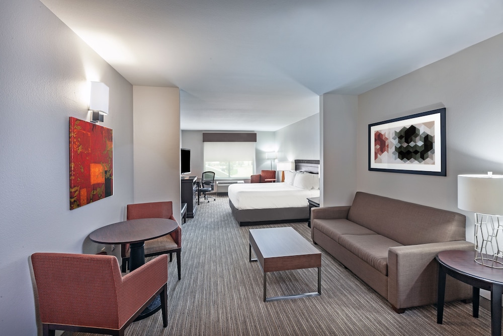 Holiday Inn Express & Suites Shreveport South Park Plaza an IHG Hotel - photo 2
