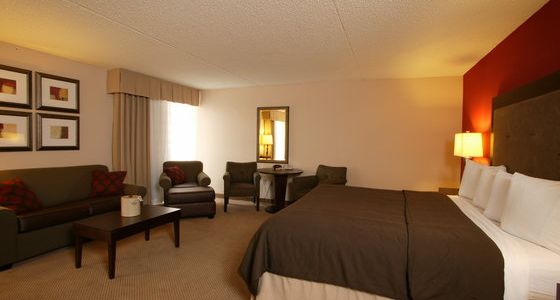 Holiday Inn Olathe Medical Center - photo 6