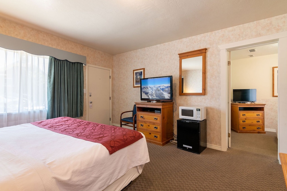Swiss Alps Inn - photo 20