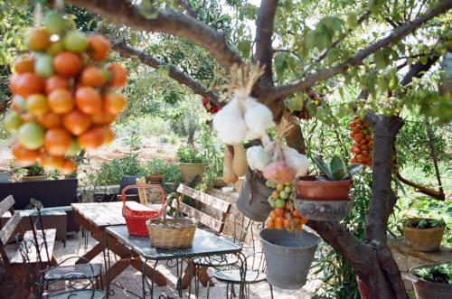 Nepole Home Holiday — 4-Star Luxury Hotel in Morciano Di Leuca, Italy