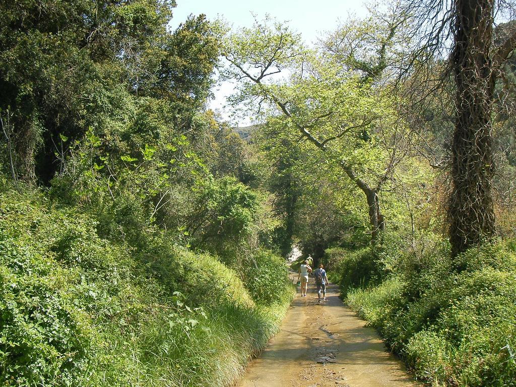 Elia Studios in Sitia, Greece