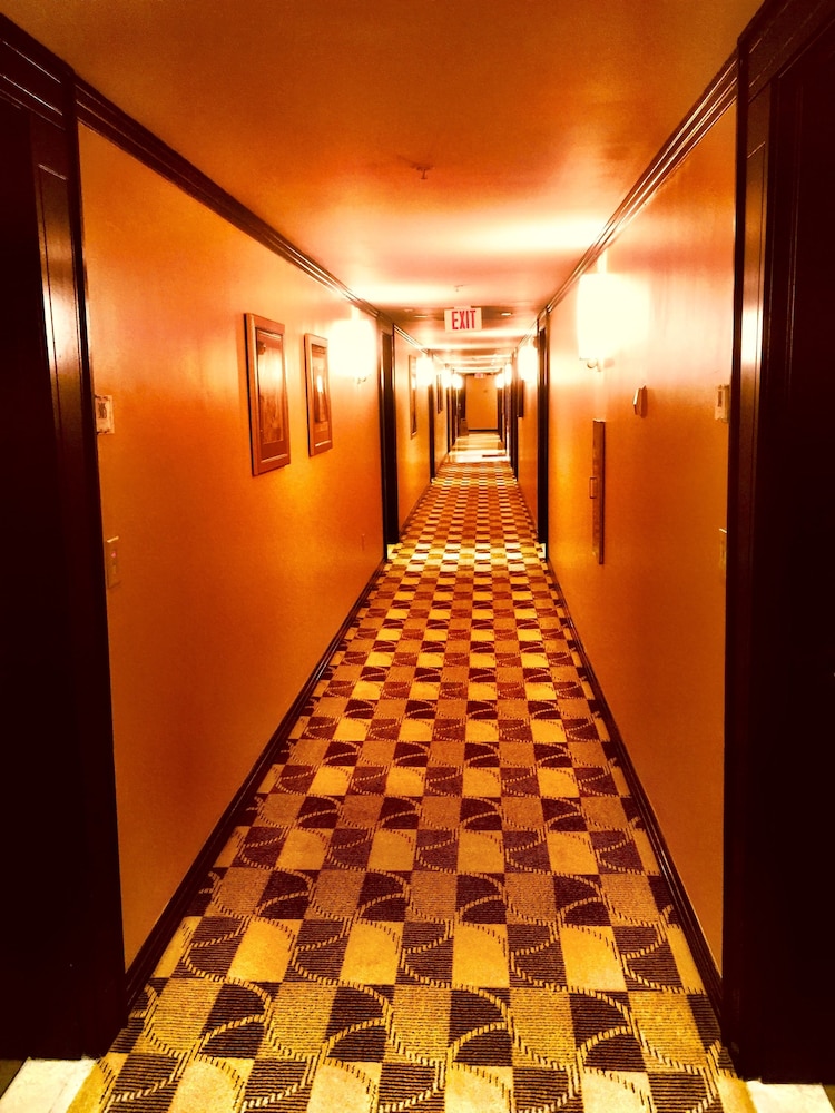 De Soleil Hotel on Ocean Drive - photo 39