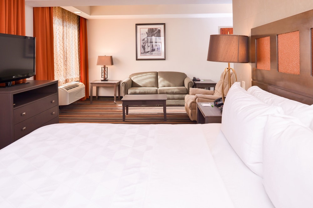 Holiday Inn Amarillo West Medical Center by IHG - photo 10