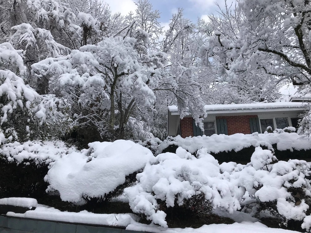 Mountain Aire Cottages & Inn - photo 287