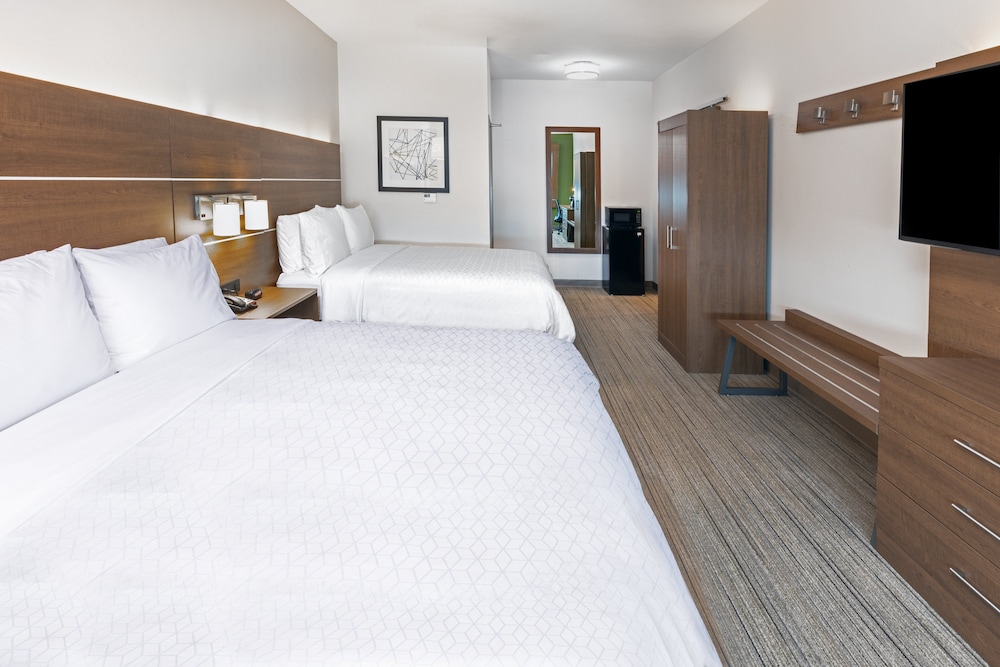 Holiday Inn Express & Suites Stafford NW Sugar Land by IHG - photo 19