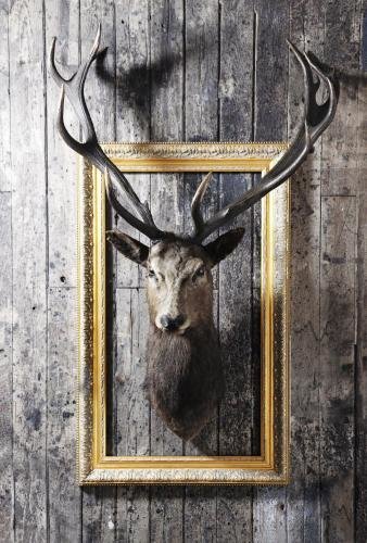 Landhotel Hirsch in Kempten (Allgaeu), Germany