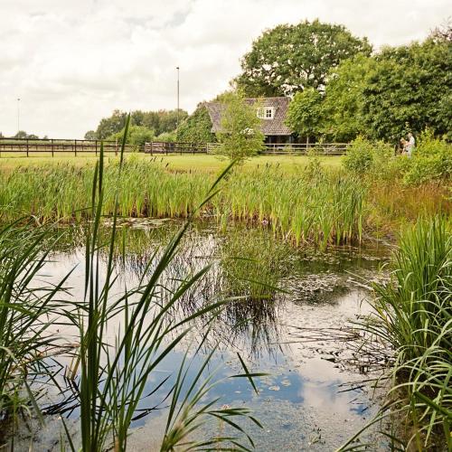 Landrop Bed & Breakfast — 4-Star Luxury Hotel in Hoogeloon, Netherlands