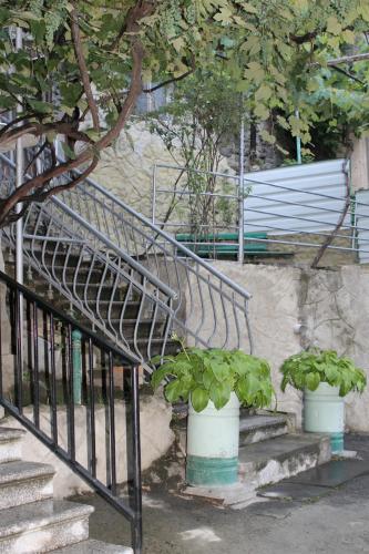 Mariko — Borjomi — photo 4