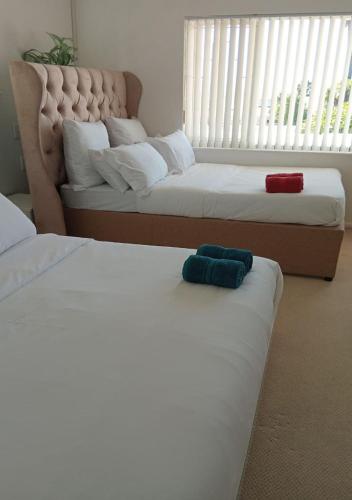 Elegant City Guest House
