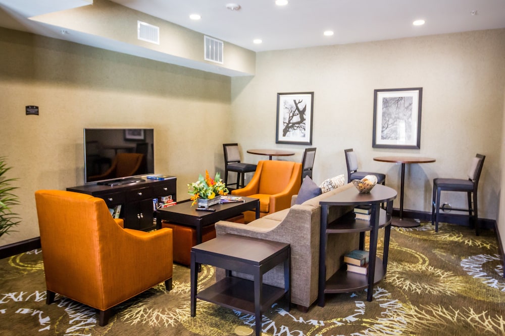 Staybridge Suites Plano North Frisco by IHG - photo 28