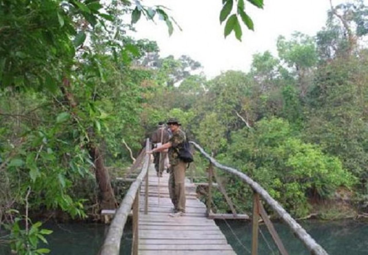 Racyshade Resort Bardia National Park — Bardiya — photo 5