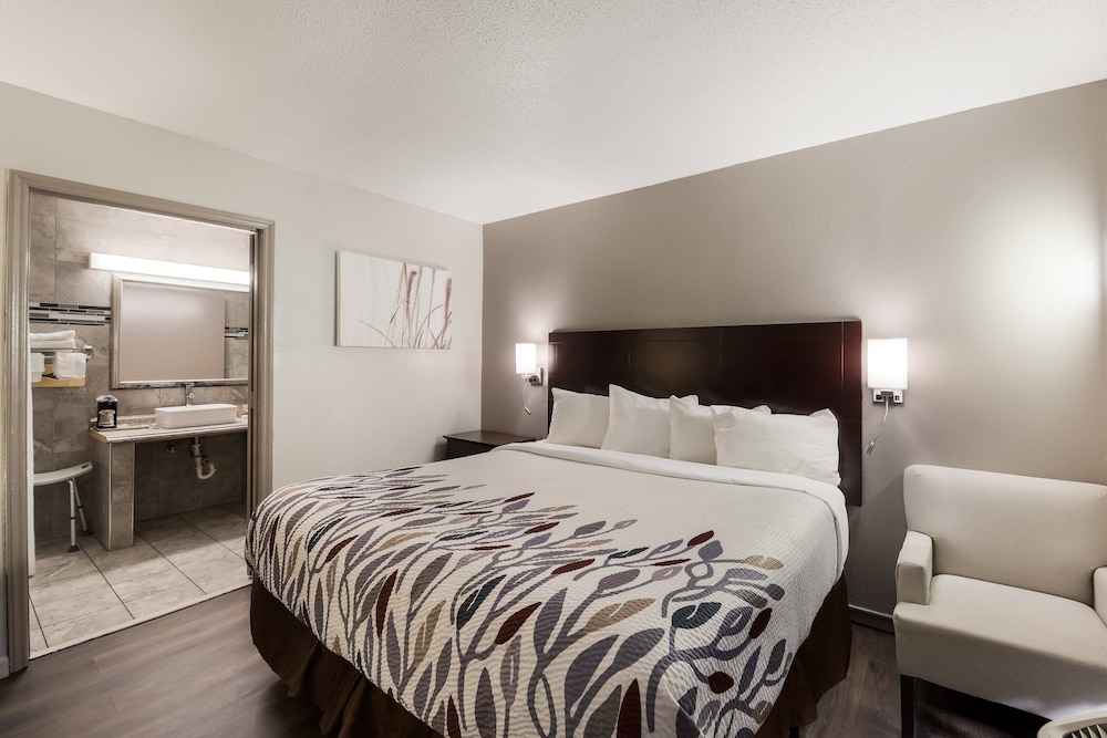 Red Roof Inn Lenoir - photo 9