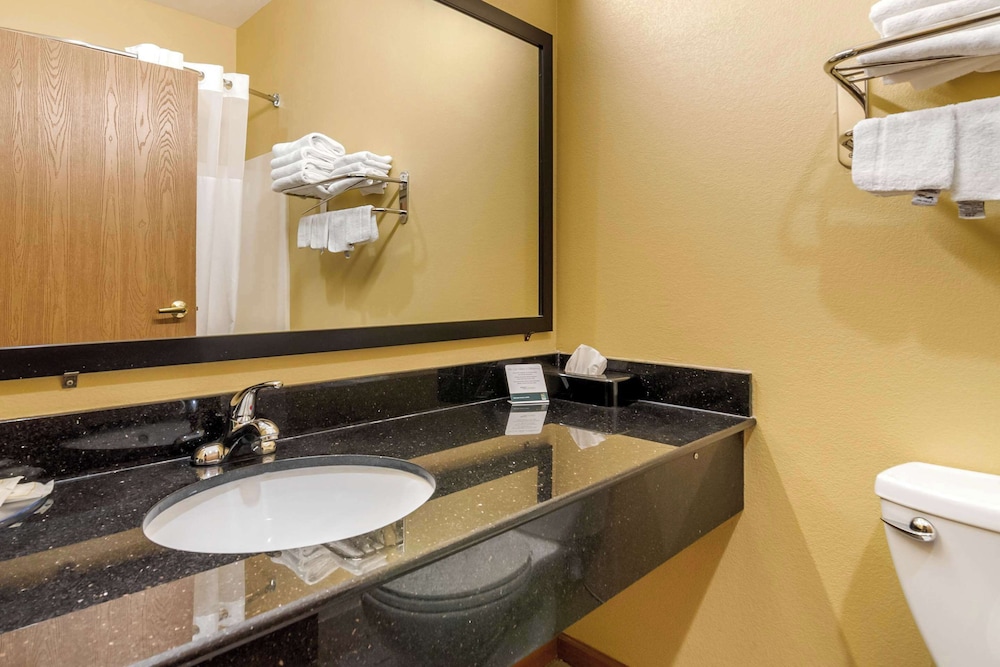 Quality Inn & Suites Lenexa Kansas City - photo 29