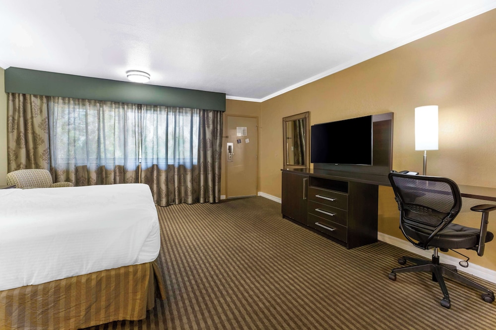 Royal Sun Hotel & Suites - photo 6