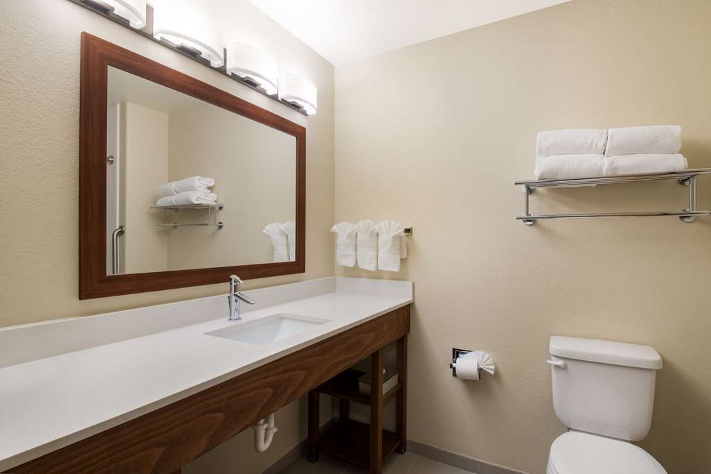 Comfort Inn Fort Morgan - photo 15