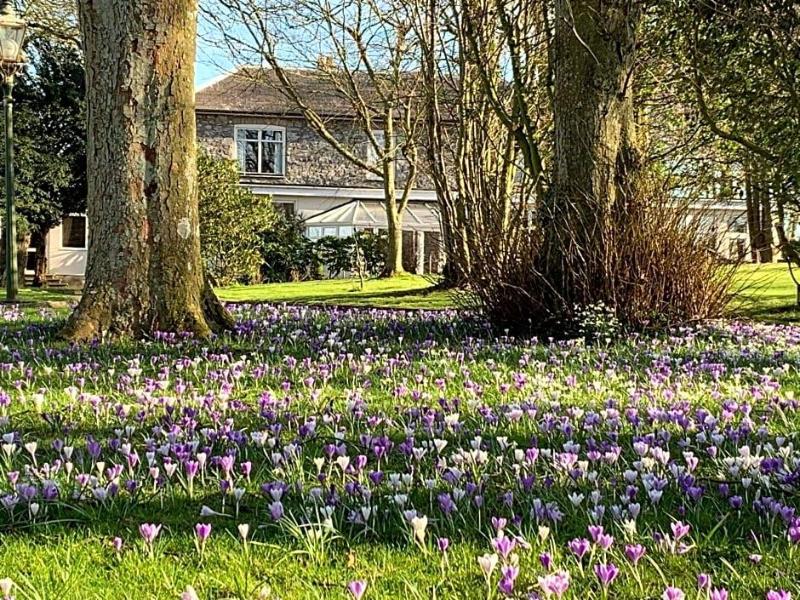 Woodlands Hall Hotel — hotel in Pwllheli