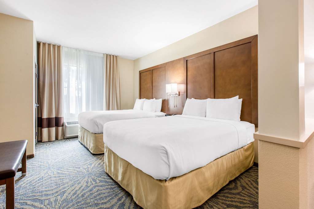 Comfort Suites South Austin - photo 12